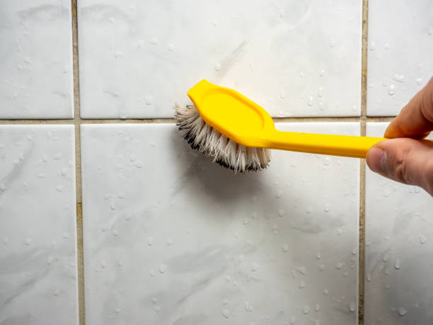 Mold Removal Process in Bude, MS