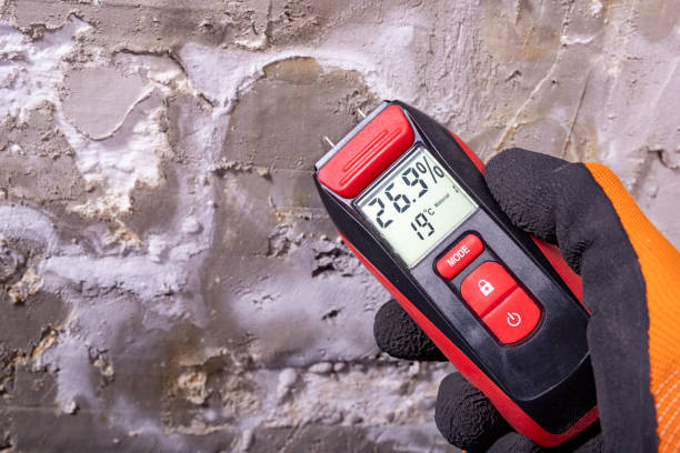 Best Commercial Mold Removal  in Bude, MS
