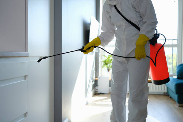 Water Damage Restoration in Bude, MS