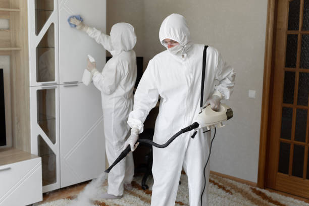 Best Toxic Mold Removal  in Bude, MS