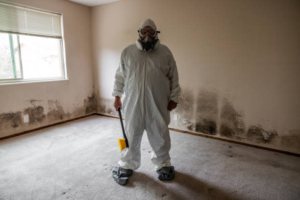 Best Professional Mold Removal  in Bude, MS